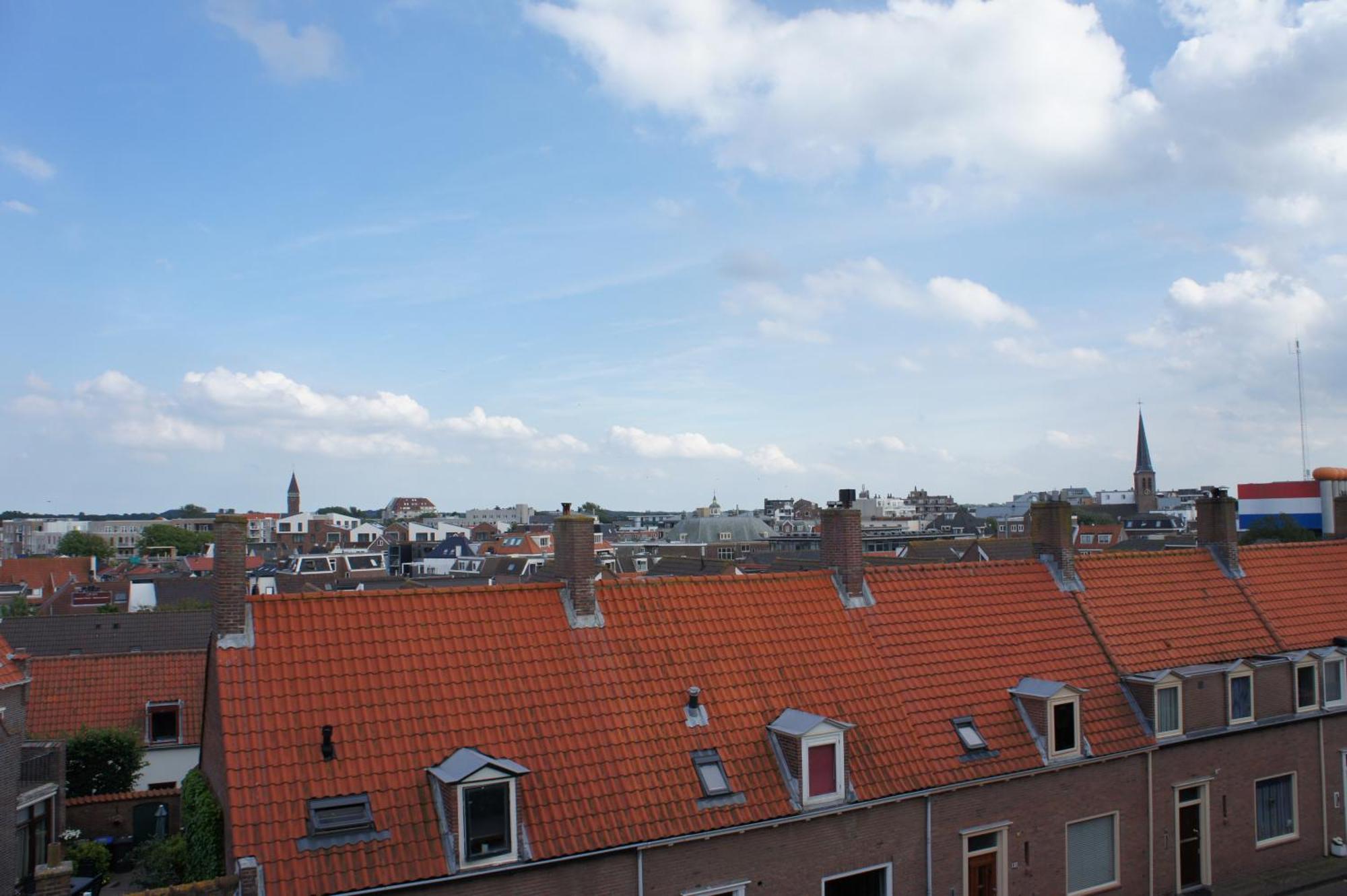 Divi Divi Zandvoort Oda fotoğraf